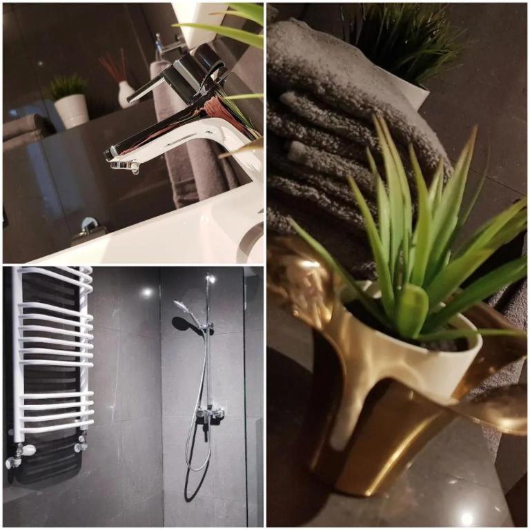 Appartamento The M O D E R N C I T Y Spot Katowice Esterno foto